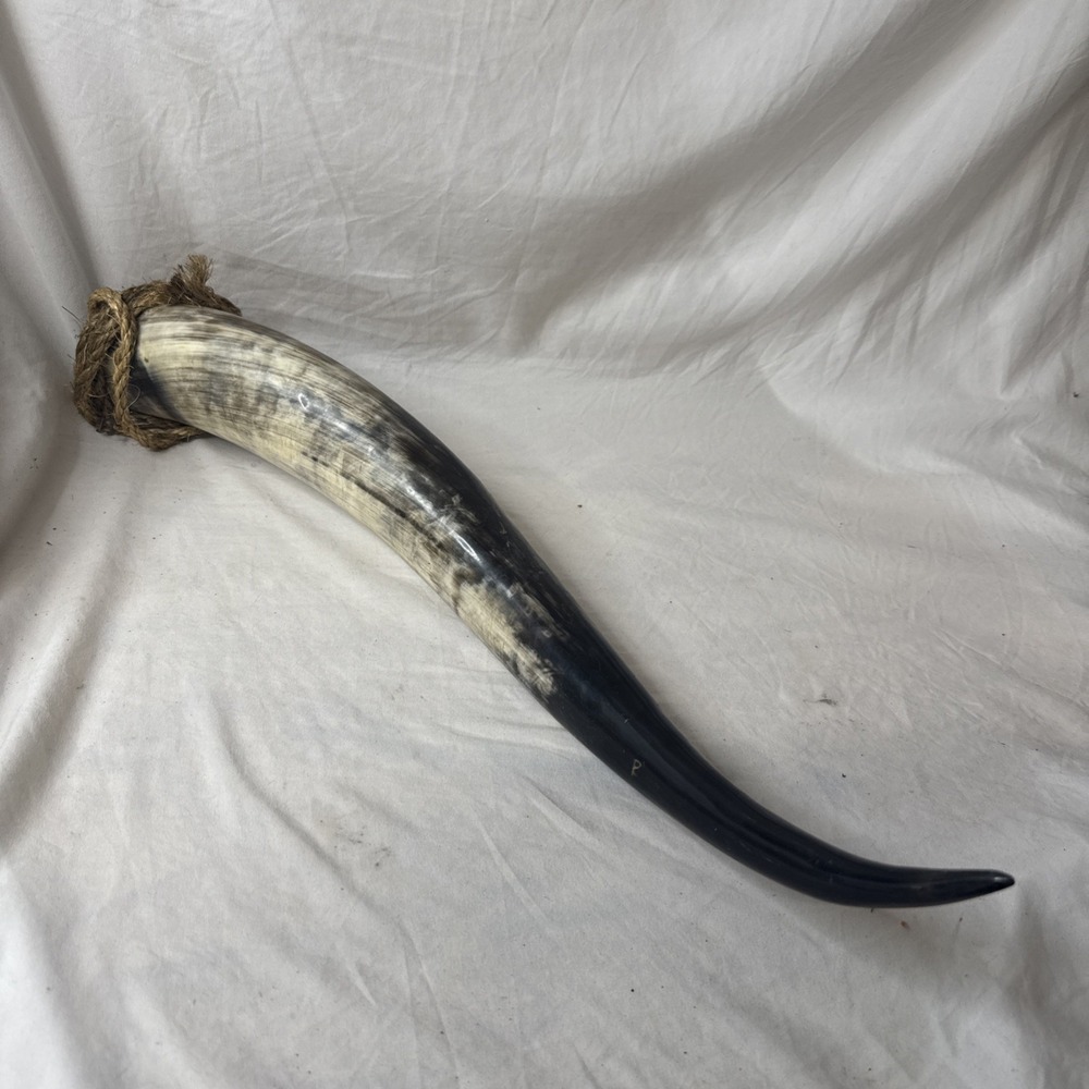 VTG Cattle Bull Steer Horn 21" Taxidermy  Western Wall Decor Rustic Rope Cabin